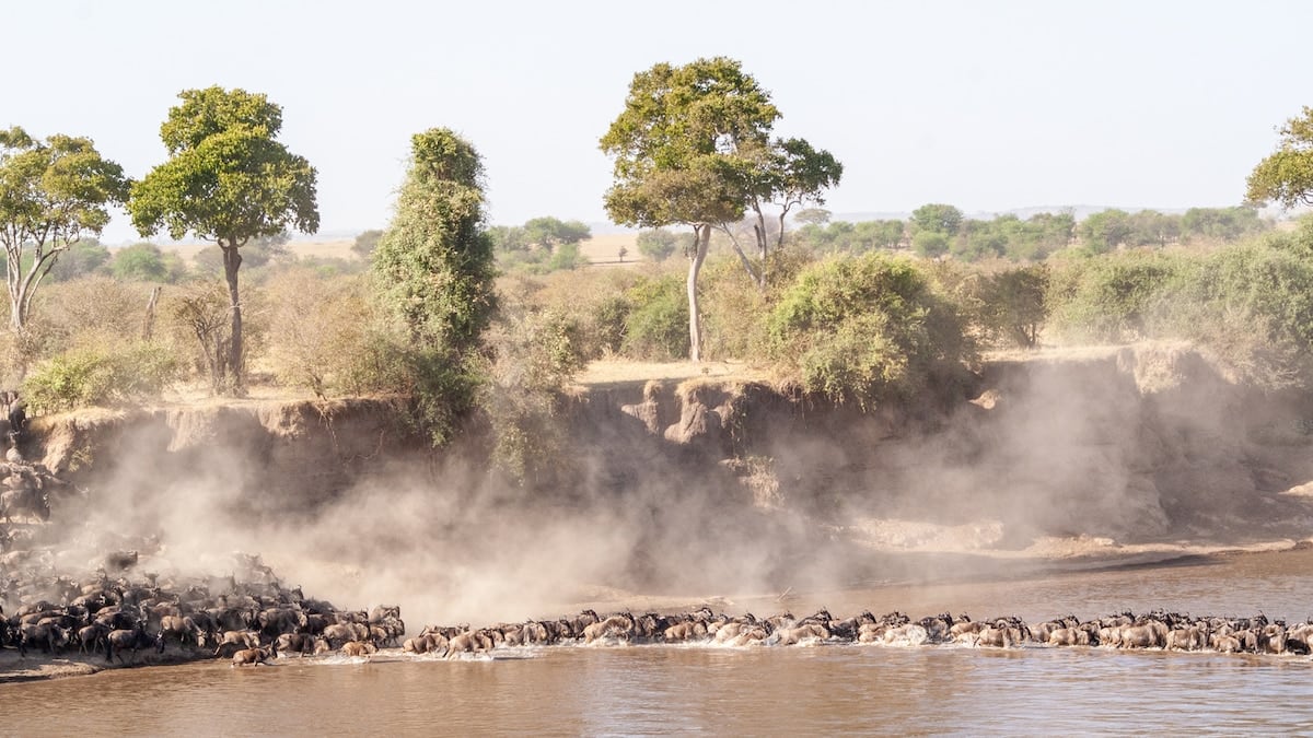 Tanzania en tres actos: entre manadas, cráteres y comunidades que aún cazan con arco