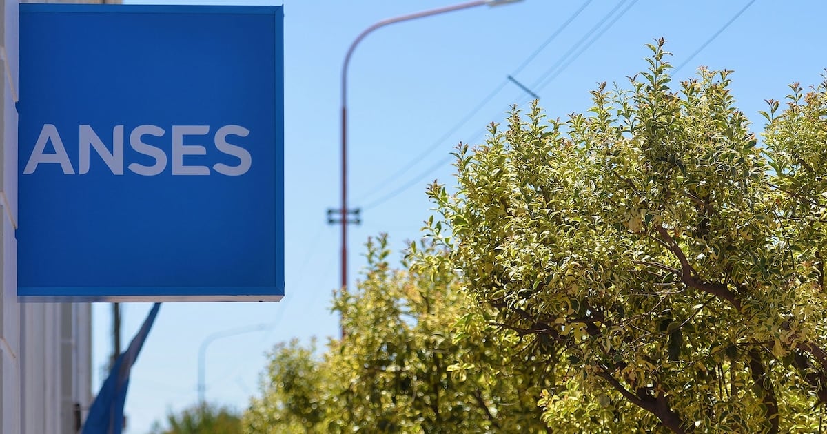 Calendario de ANSES en octubre: cuándo y cuánto perciben los beneficiarios con documento finalizado en 2