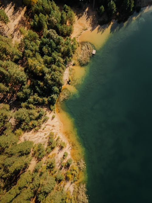 La isla que se cruza en lancha y guarda una capillita de 1933 entre los coihues del lago Lácar