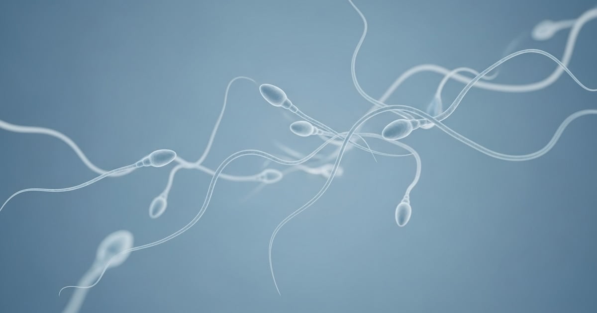Realizan en el Reino Unido el primer autotrasplante de tejido testicular en un paciente oncológico