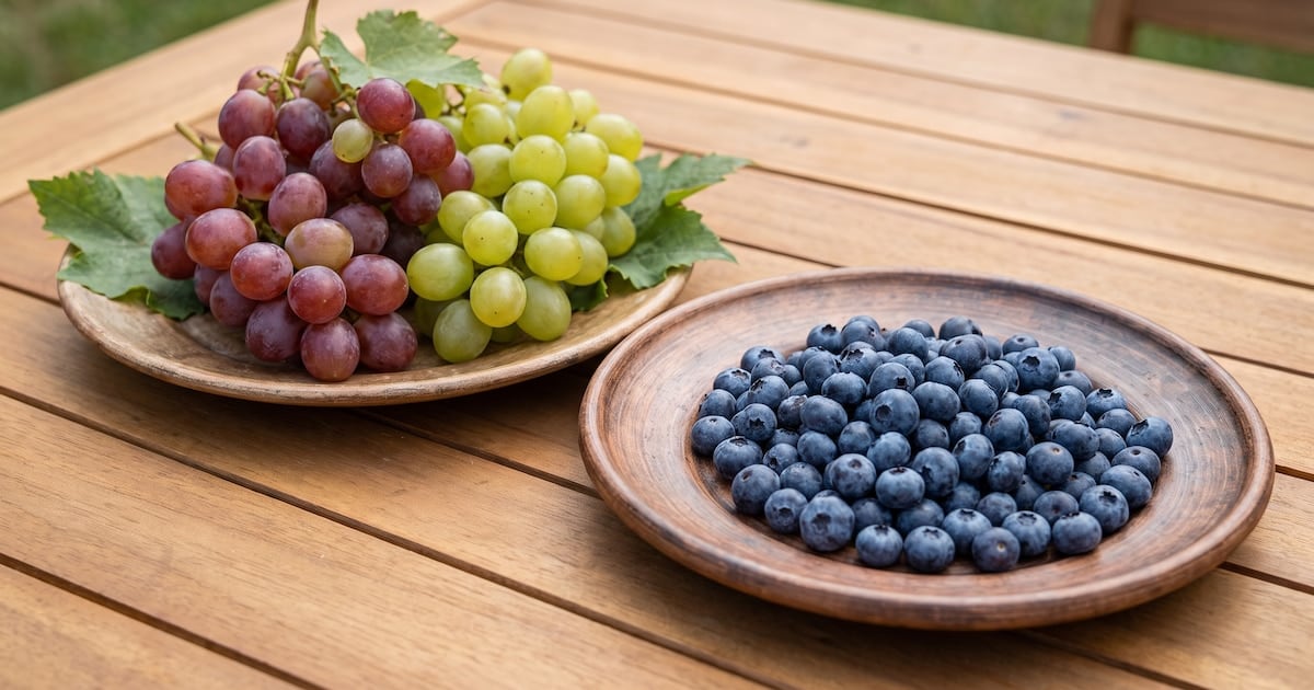 Arándanos o uvas: la pulseada por el azúcar en sangre y cómo ganar la mesa sin prohibirse nada