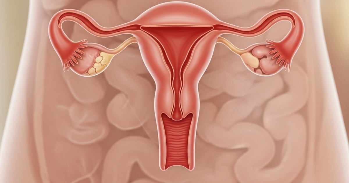 El ovario no se apaga: identifican 5.812 firmas de proteínas activas décadas después de la menopausia