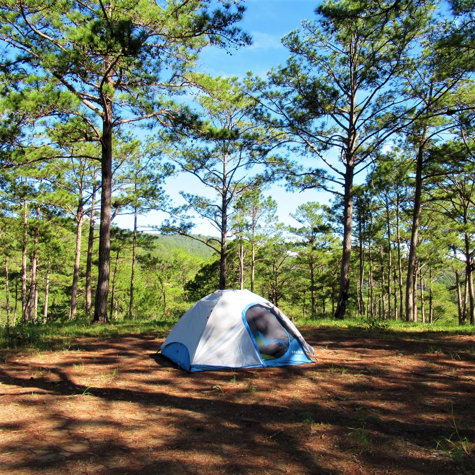 Un camping francés de 55 hectáreas llega a Mar Azul con 240 parcelas
