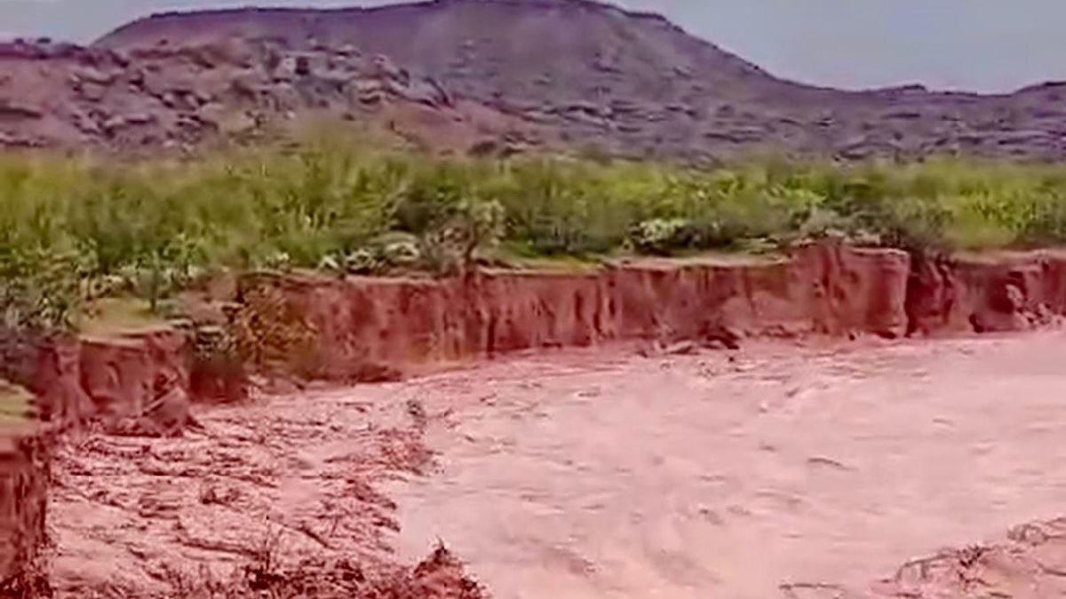 Río Neuquén: la AIC fija caudales oficiales por debajo de 550 metros cúbicos por segundo