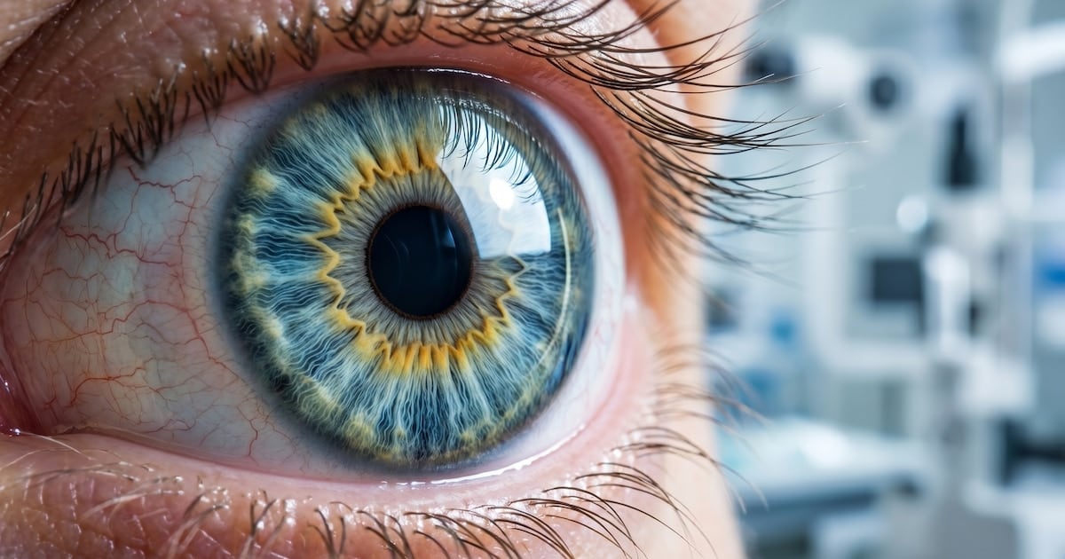 Una proteína desarrollada en Argentina mejoróquemaduras químicas en ojos de ratas